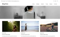 Blog Story theme preview