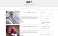Blog X theme preview