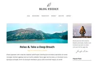 BlogFeedly theme preview