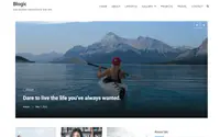 Blogic theme preview