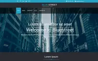 Bluestreet theme preview