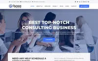 Bosa Consulting theme preview