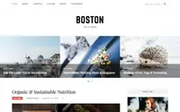 Boston theme preview
