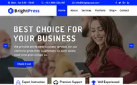 BrightPress theme preview