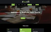 BusiCare Dark theme preview