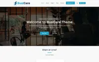 BusiCare theme preview
