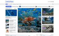 Capital News theme preview