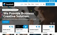 CareSoft theme preview