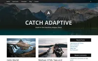 Catch Adaptive theme preview