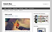 Catch Box theme preview
