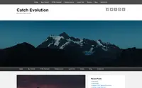 Catch Evolution theme preview