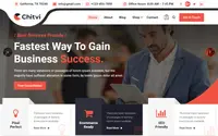 Chitvi theme preview