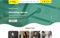 Classic Digital Marketing theme preview