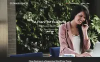 Clean Business theme preview