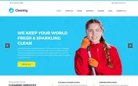 Cleaning Lite theme preview