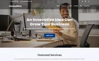 ConsultEra theme preview