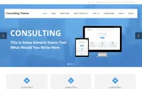 Consulting theme preview