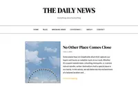 Daily News Blog theme preview