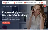 DigiPress theme preview