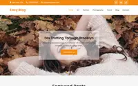 Easy Blog theme preview