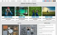 EliteWP theme preview