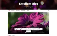 Excellent Blog theme preview