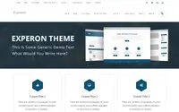Experon Business theme preview