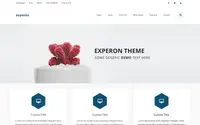 Experon grid theme preview