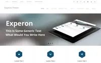 Experon theme preview