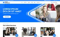 Expert Consultant theme preview