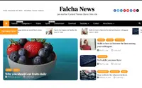 Falcha News theme preview