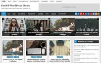 FineWP theme preview