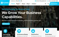 Flexina theme preview