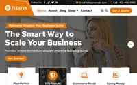 Flexiva theme preview