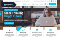 Flexora theme preview