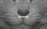 Fortunato theme preview
