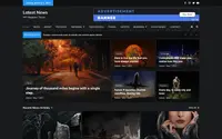 Latest News theme preview
