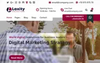 Laxity theme preview