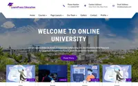 Learn Press Education theme preview