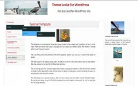 Leslie theme preview