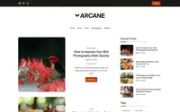 Lifestyle Blog Arcane theme preview
