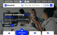MetaSoft theme preview
