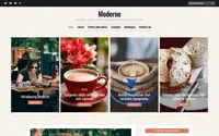 Moderne theme preview
