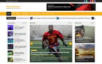 News Access theme preview