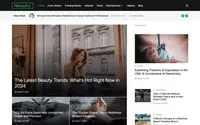 NewsArc theme preview