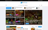 NewsBlogger theme preview