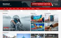 NewsCard theme preview