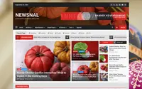 Newsnal theme preview