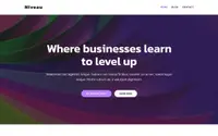 Niveau theme preview