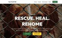 Non Profit FSE theme preview